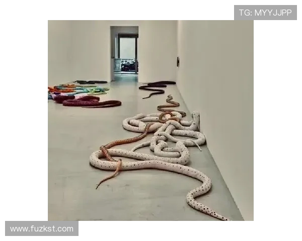 加莱诺的艺术世界探索与文化传承之旅